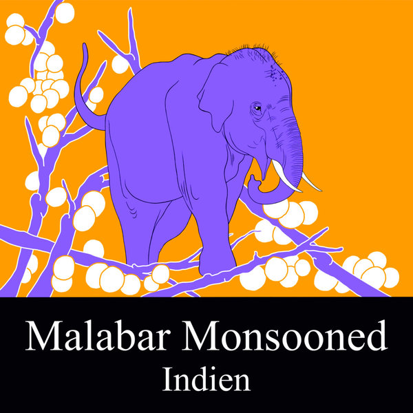 Indien Malabar Monsooned