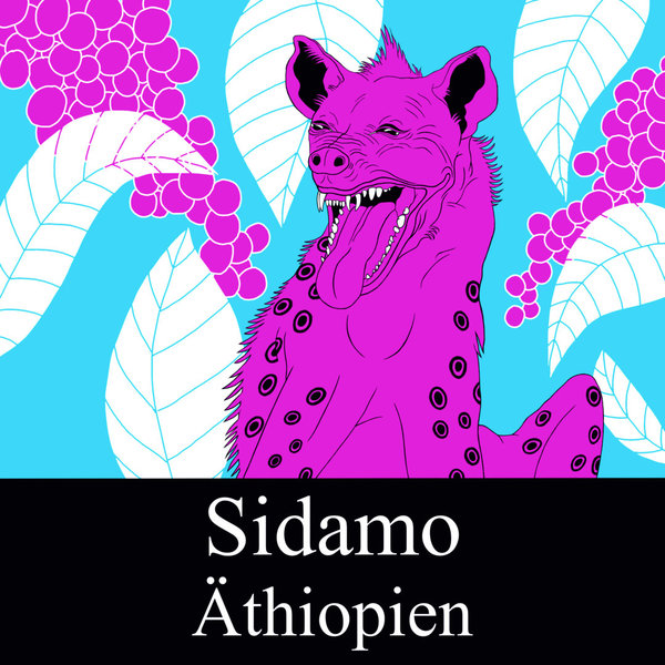 Äthiopien Sidamo