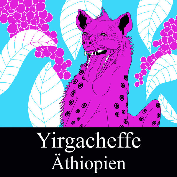 Äthiopien Yirgacheffe